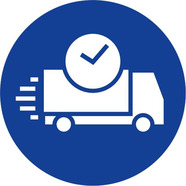 Disponibilitate și termene de livrare